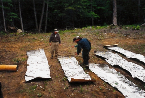 Birch bark sheets laid out for measuring (CCM)